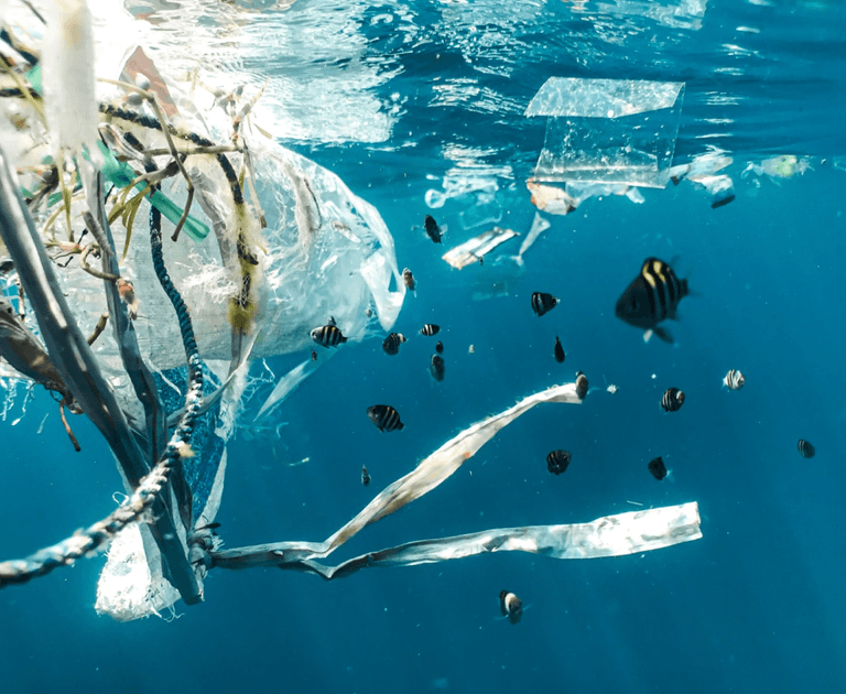 poor child playing in street