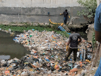 Plastic Fischer animated