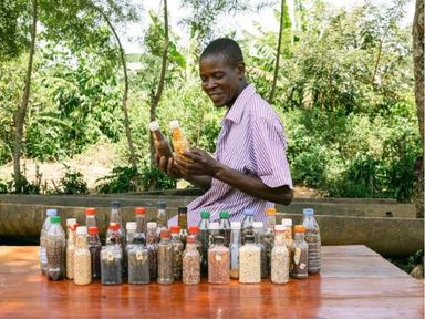 Trees for the Future