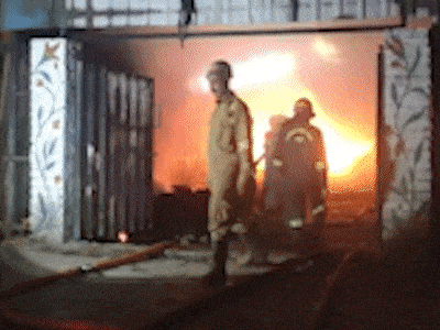 Plastic Fischer animated