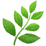 https://dev.dollardonationclub.com/images/emojis/herb.png