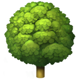 Trees Planted