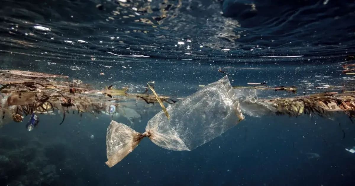 Waste collection in coastal regions to stop ocean plastic